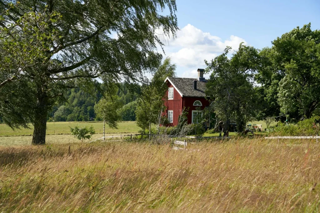Polilaminina: O que é a proteína da UFRJ que promete regenerar a médula?